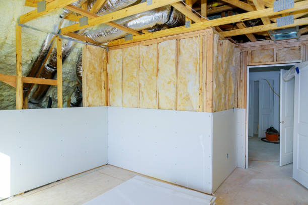 Best Insulation for Specific Applications in Dogtown, CA